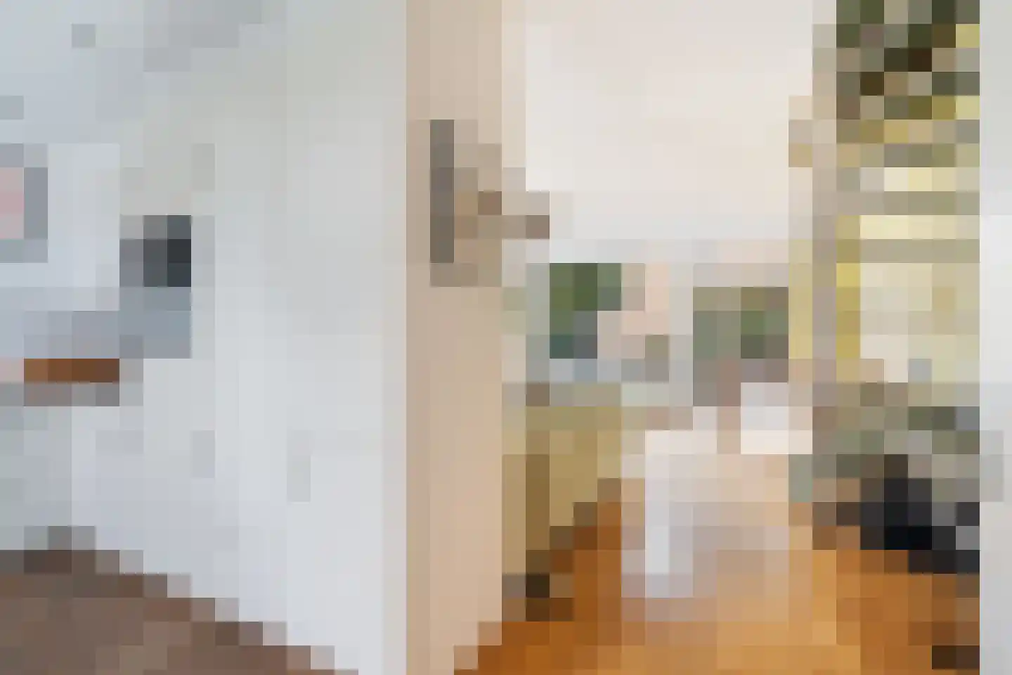 Heymont 1 Pijnacker thumbnail 12