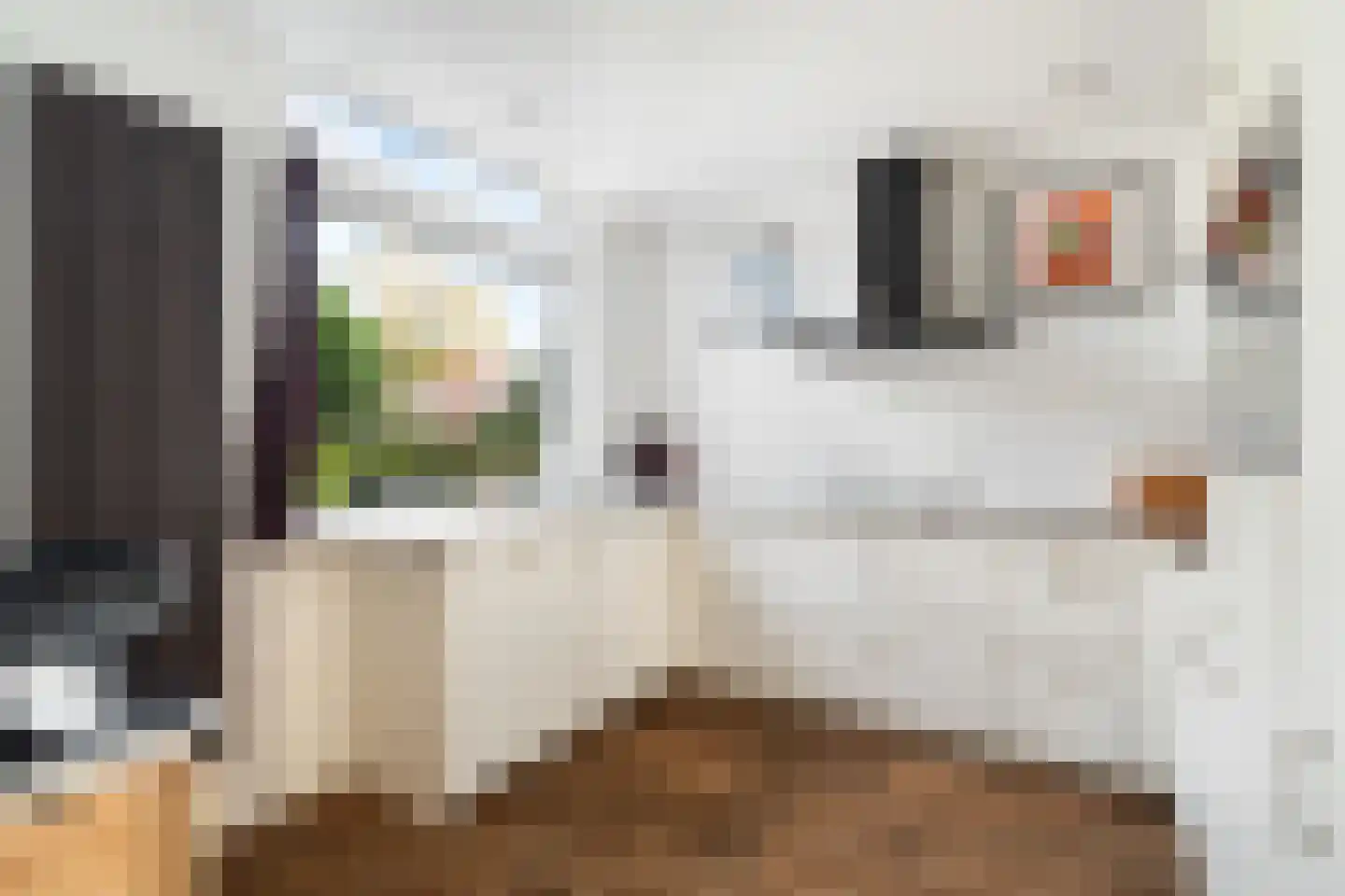 Heymont 1 Pijnacker thumbnail 13