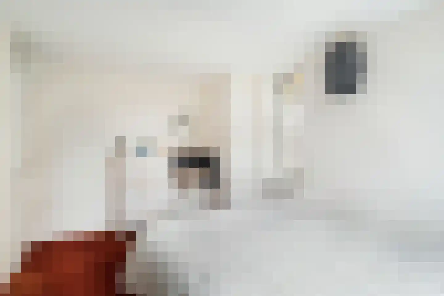 Heymont 1 Pijnacker thumbnail 23