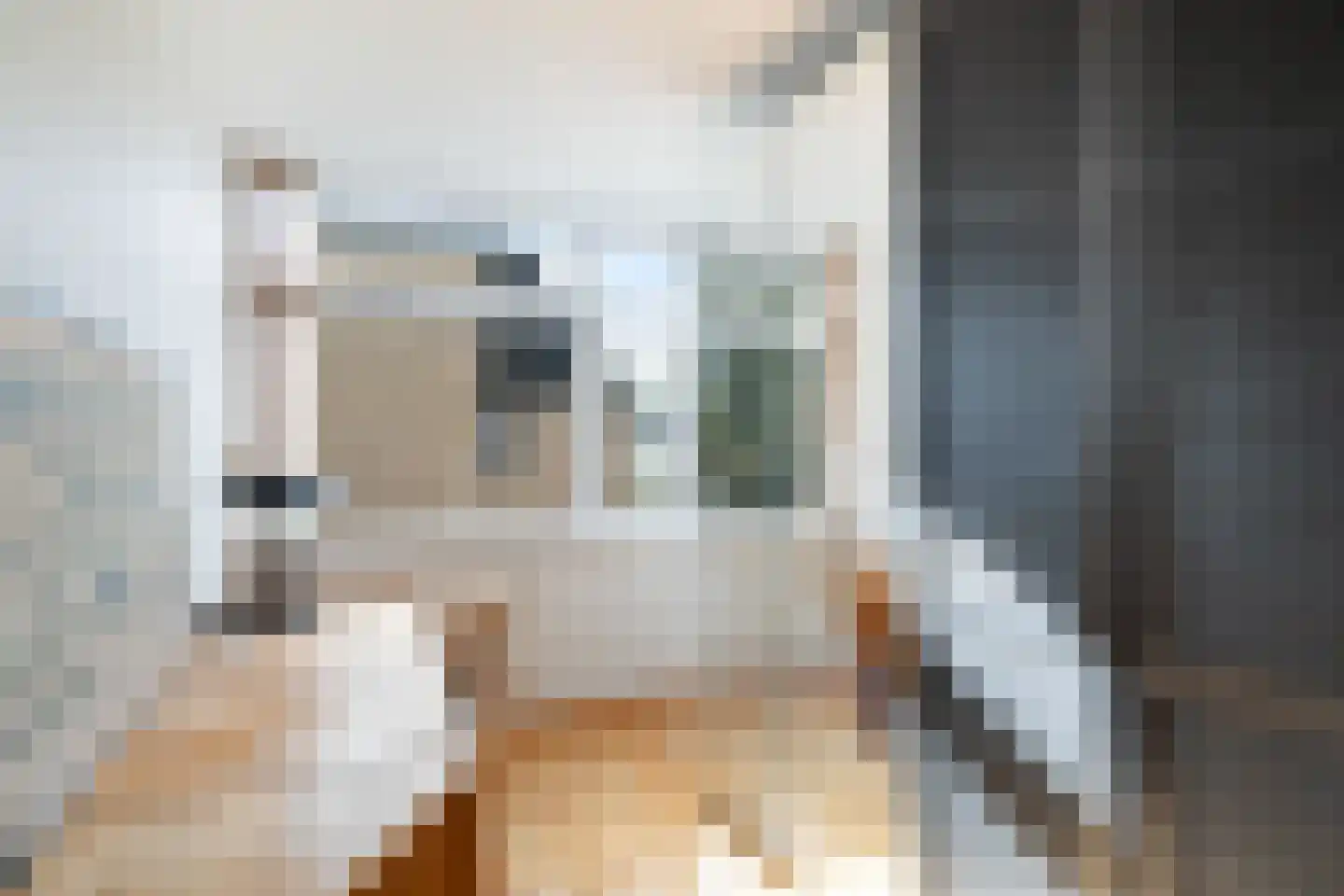 Heymont 1 Pijnacker thumbnail 24