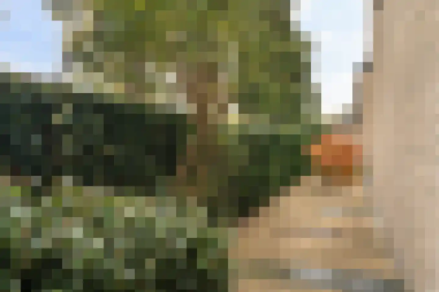 Heymont 1 Pijnacker thumbnail 40