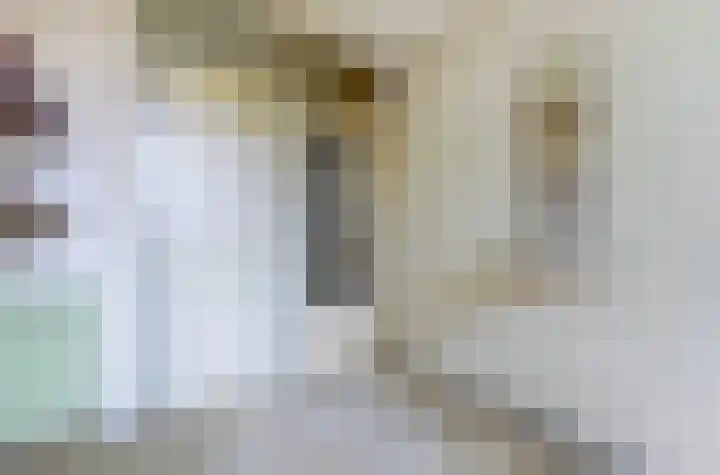 Heyne van Althenastraat 18 Heinenoord thumbnail 17