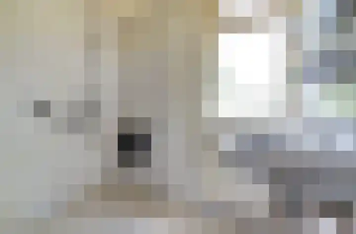Heyne van Althenastraat 18 Heinenoord thumbnail 18