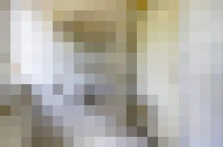 Heyne van Althenastraat 18 Heinenoord thumbnail 19