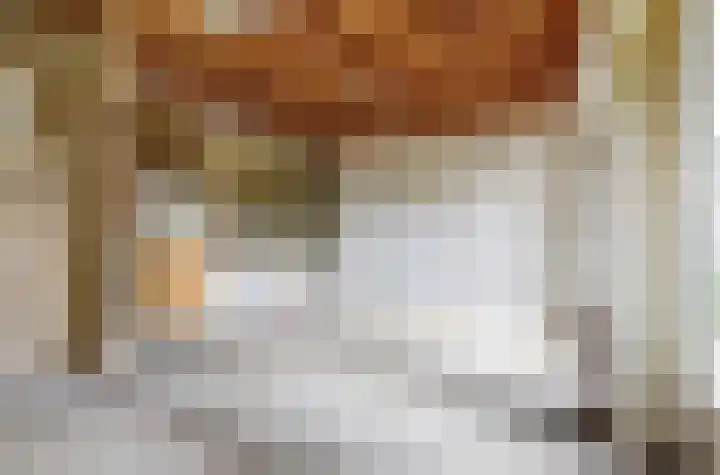 Heyne van Althenastraat 18 Heinenoord thumbnail 21