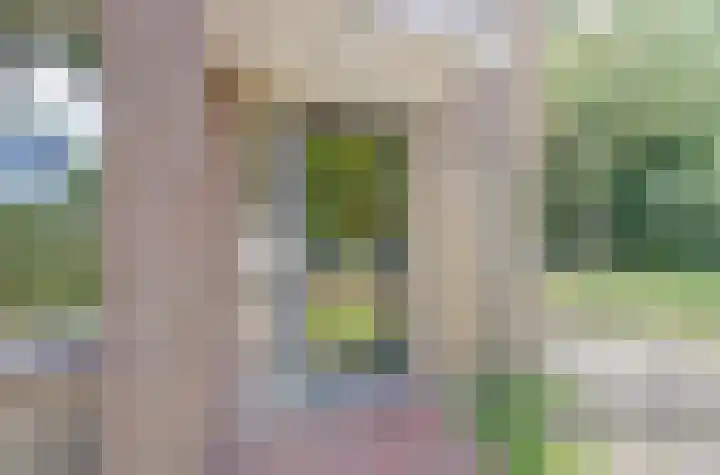 Heyne van Althenastraat 18 Heinenoord thumbnail 28