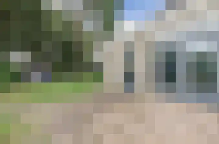 Heyne van Althenastraat 18 Heinenoord thumbnail 30