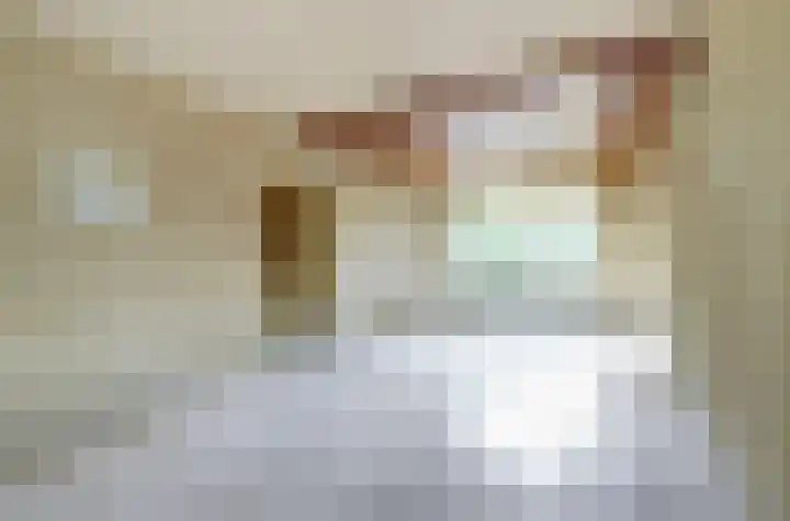 Heyne van Althenastraat 18 Heinenoord thumbnail 9