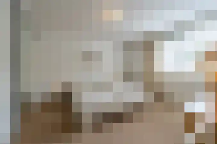 Heyne van Althenastraat 28 Heinenoord thumbnail 13