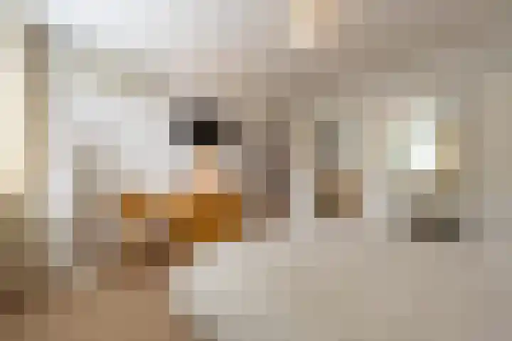 Heyne van Althenastraat 28 Heinenoord thumbnail 14