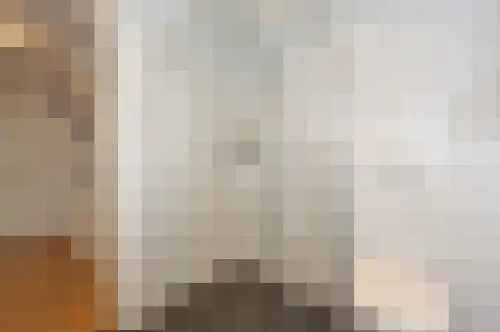 Heyne van Althenastraat 28 Heinenoord thumbnail 21