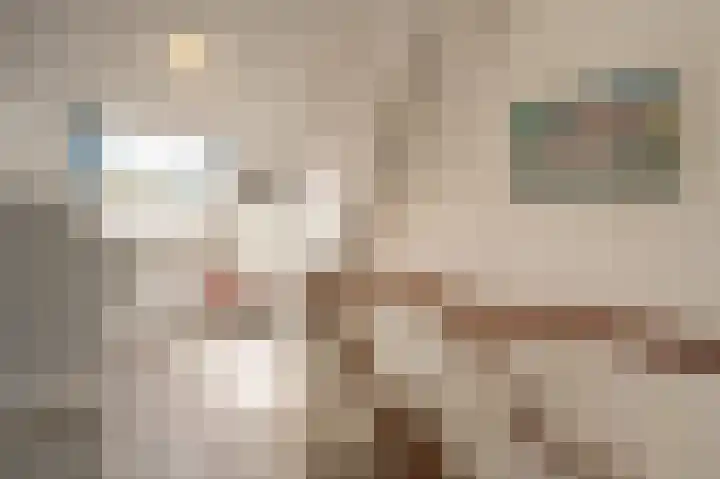 Heyne van Althenastraat 28 Heinenoord thumbnail 24