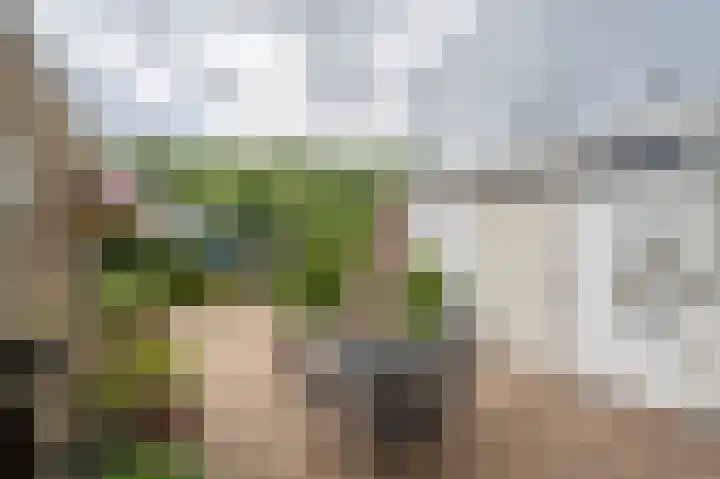 Heyne van Althenastraat 28 Heinenoord thumbnail 33