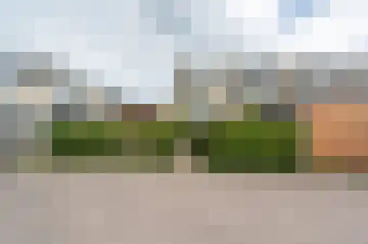 Heyne van Althenastraat 28 Heinenoord thumbnail 35