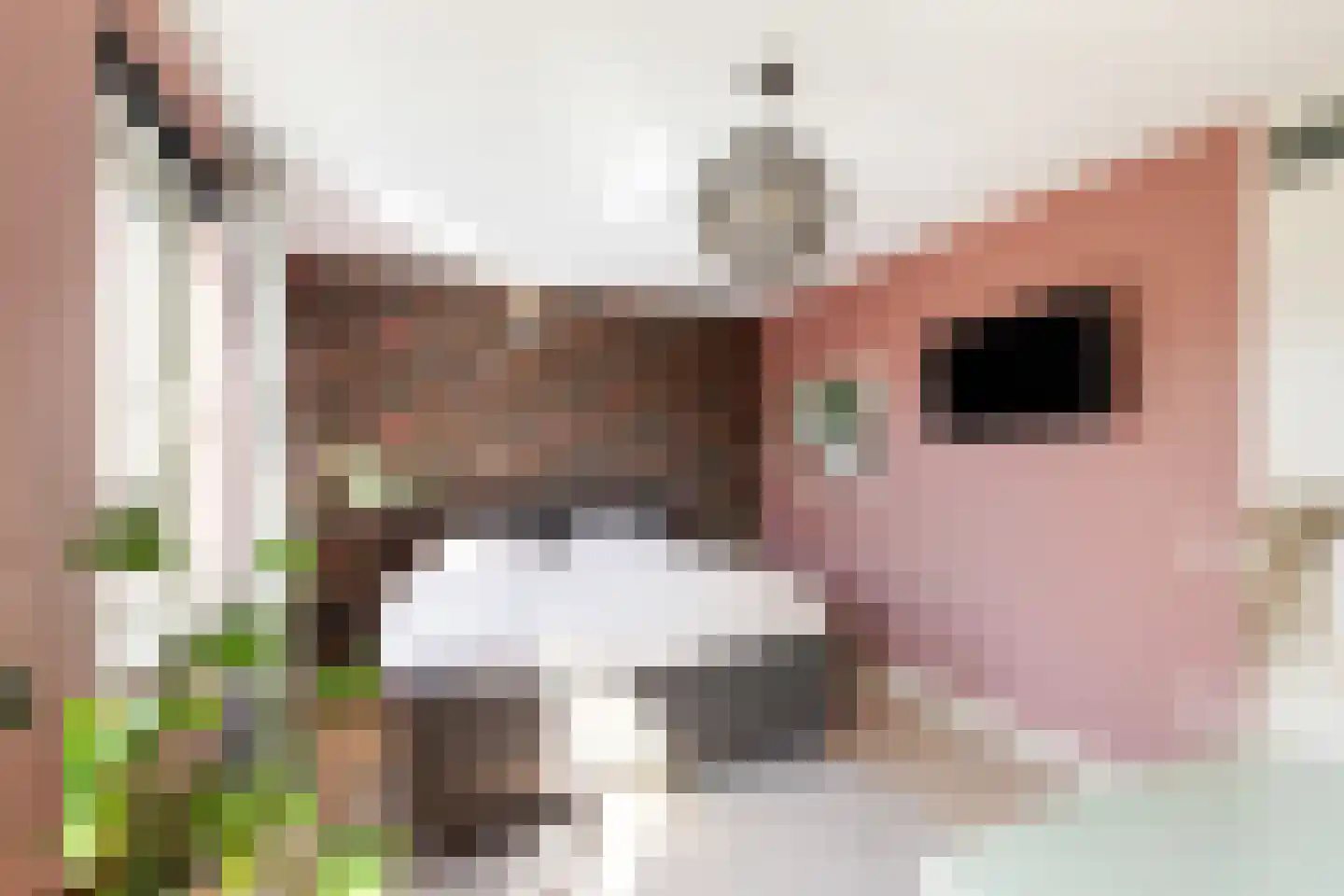 Heysekade 9 Rotterdam thumbnail 33