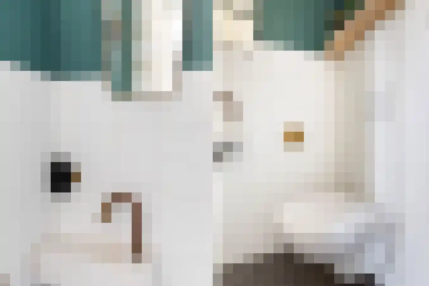 Heysekade 9 Rotterdam thumbnail 6