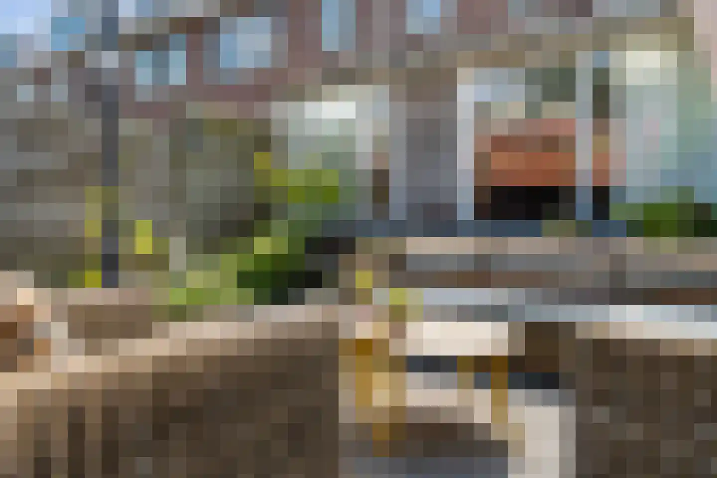 Heysterbachstraat 78 Dordrecht thumbnail 20