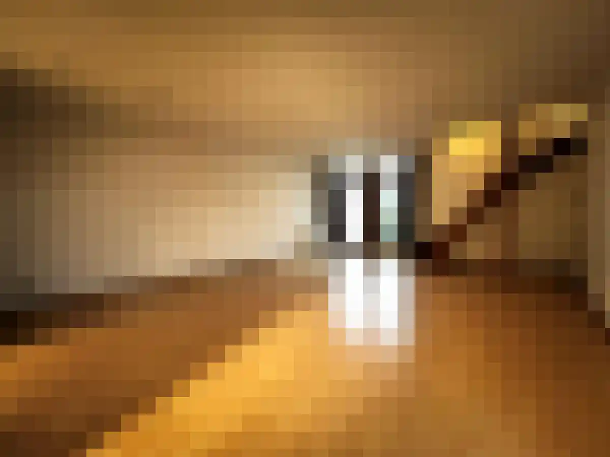 Heythuyserweg 30 Horn thumbnail 6