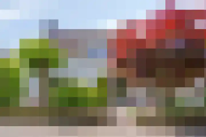 Hezelaar 35 Gemert