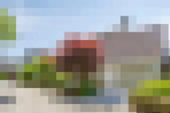 Hezelaar 35 Gemert foto 2