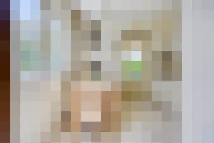 Hezelaar 35 Gemert thumbnail 20