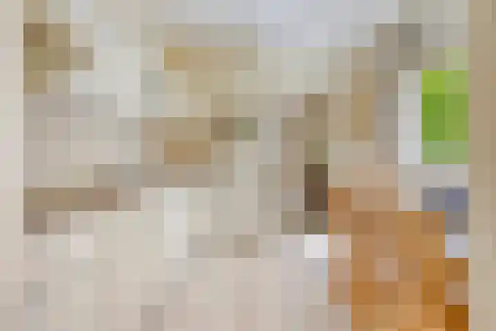 Hezelaar 35 Gemert thumbnail 24