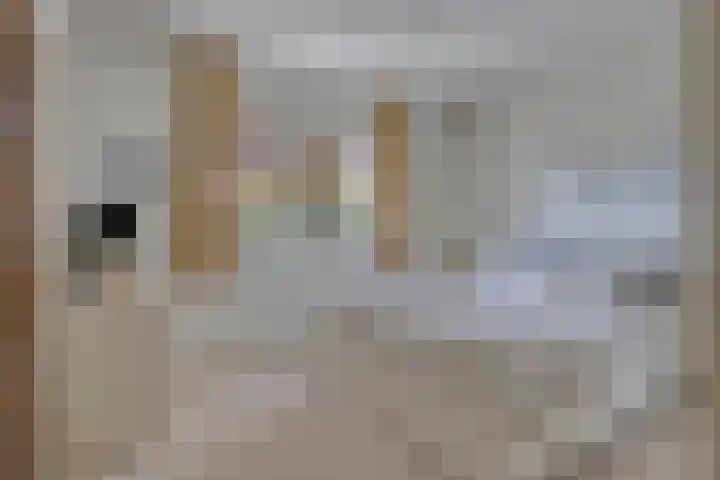 Hezelaar 35 Gemert thumbnail 29