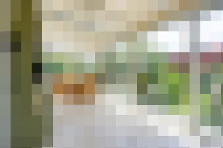 Hezelaar 35 Gemert thumbnail 34