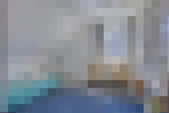 Hezelaar 35 Gemert thumbnail 43