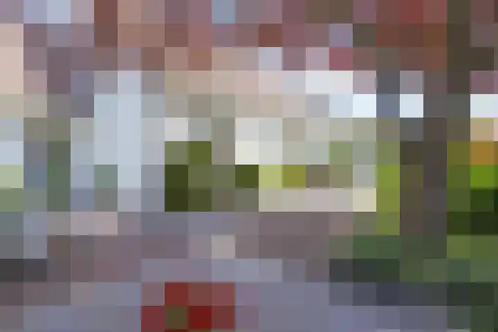 Hezelaar 35 Gemert thumbnail 46