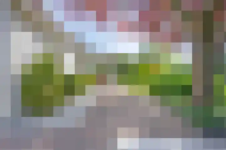 Hezelaar 35 Gemert thumbnail 47