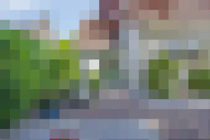 Hezelaar 35 Gemert thumbnail 49