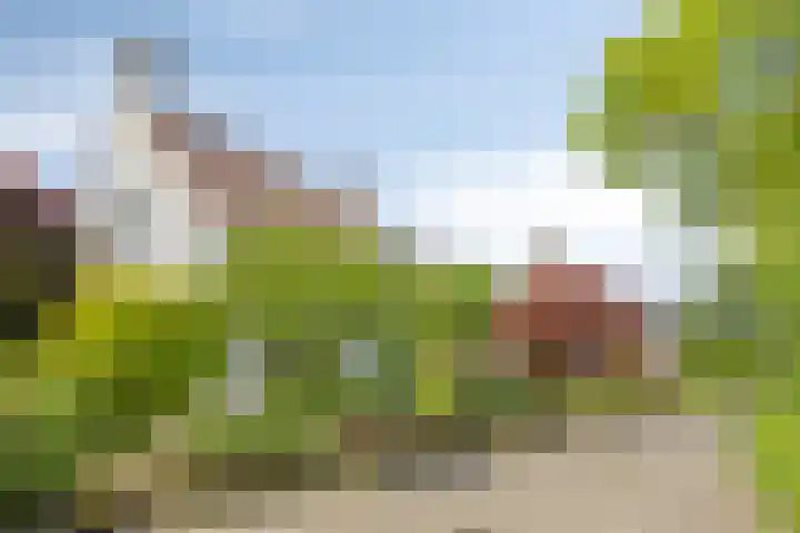 Hezelaar 35 Gemert thumbnail 9