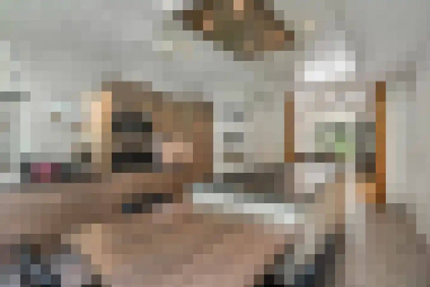 Hezelaar 4 Sint-Michielsgestel thumbnail 11