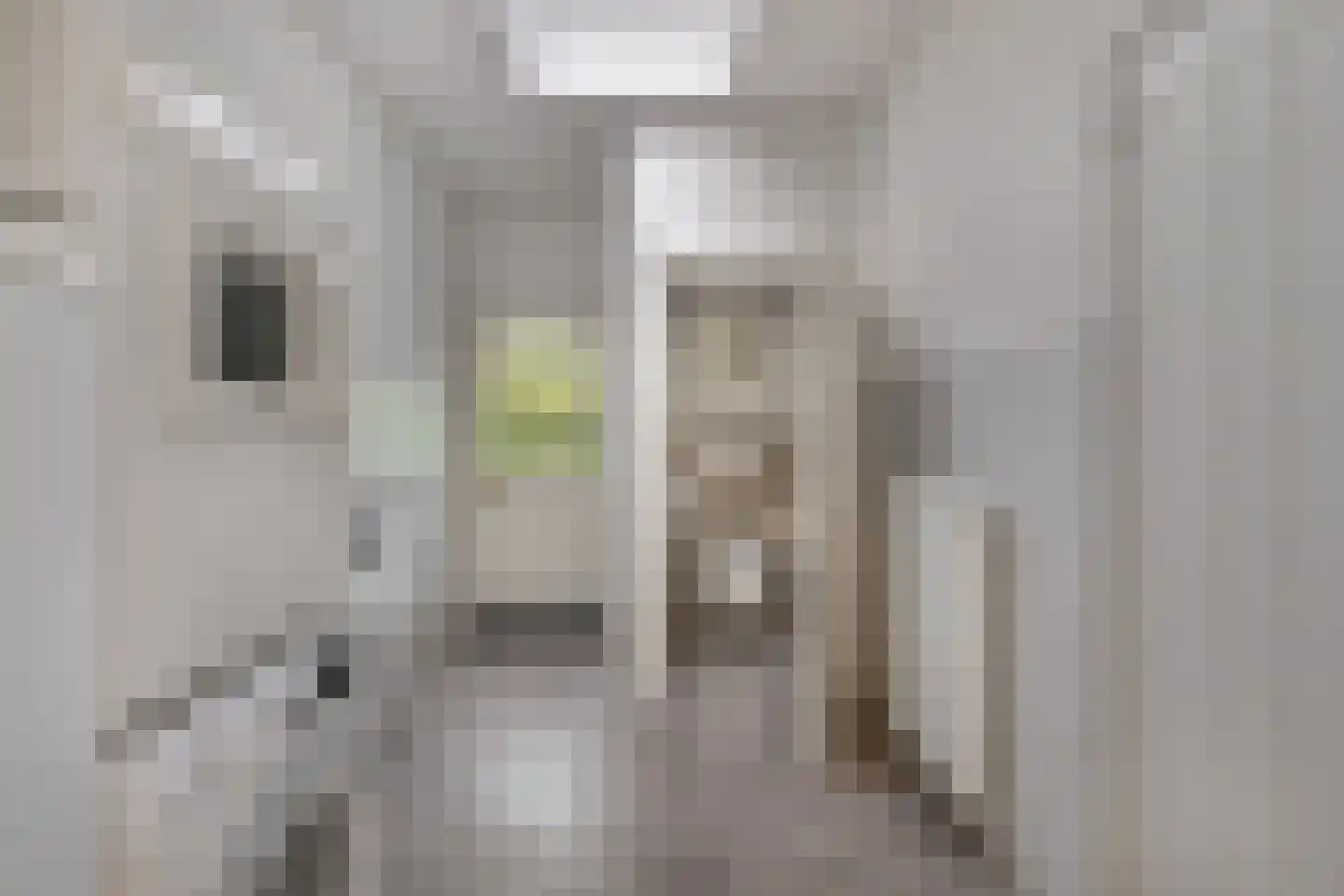 Hezelaar 4 Sint-Michielsgestel thumbnail 13