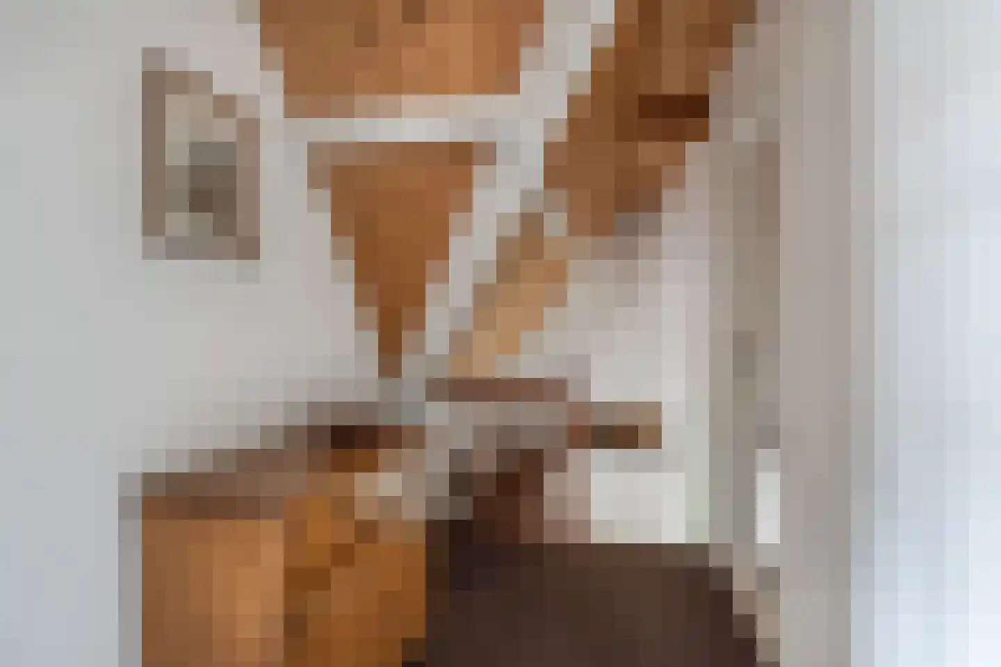 Hezelaar 4 Sint-Michielsgestel thumbnail 14