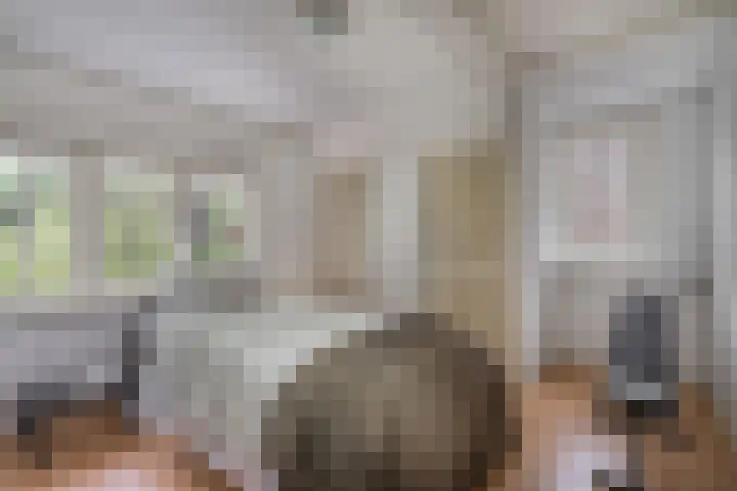 Hezelaar 4 Sint-Michielsgestel thumbnail 16