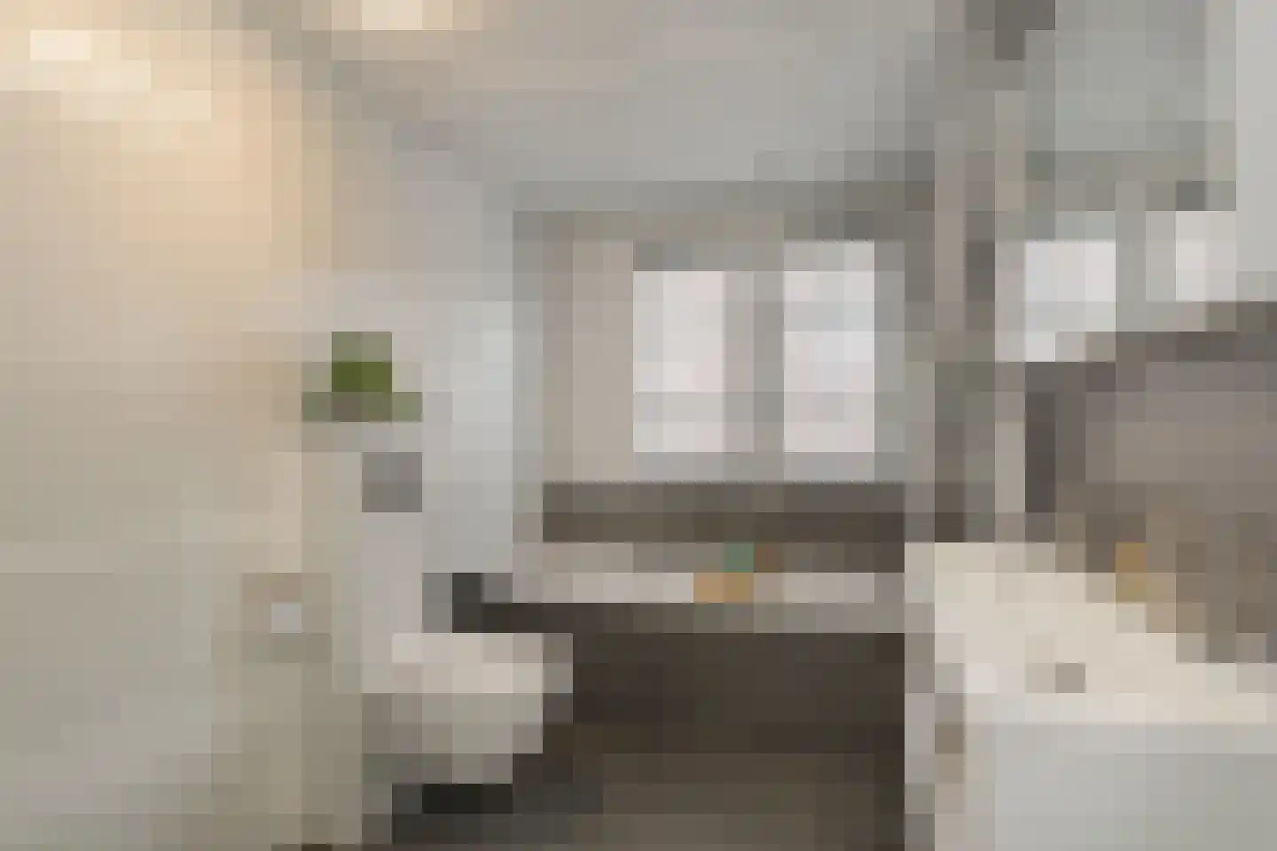 Hezelaar 4 Sint-Michielsgestel thumbnail 20