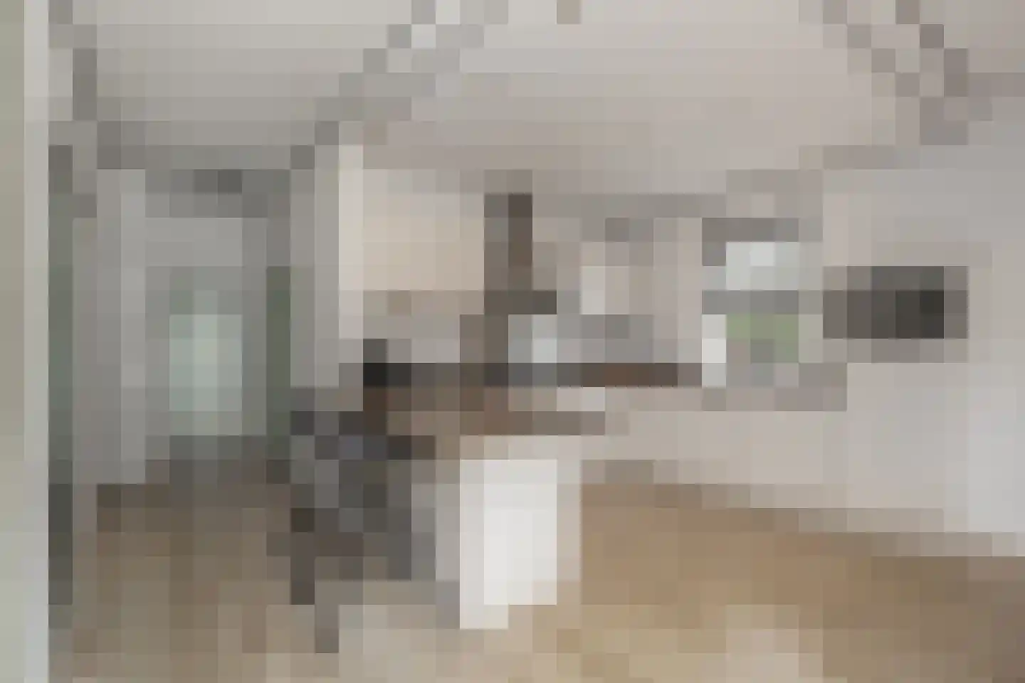 Hezelaar 4 Sint-Michielsgestel thumbnail 23