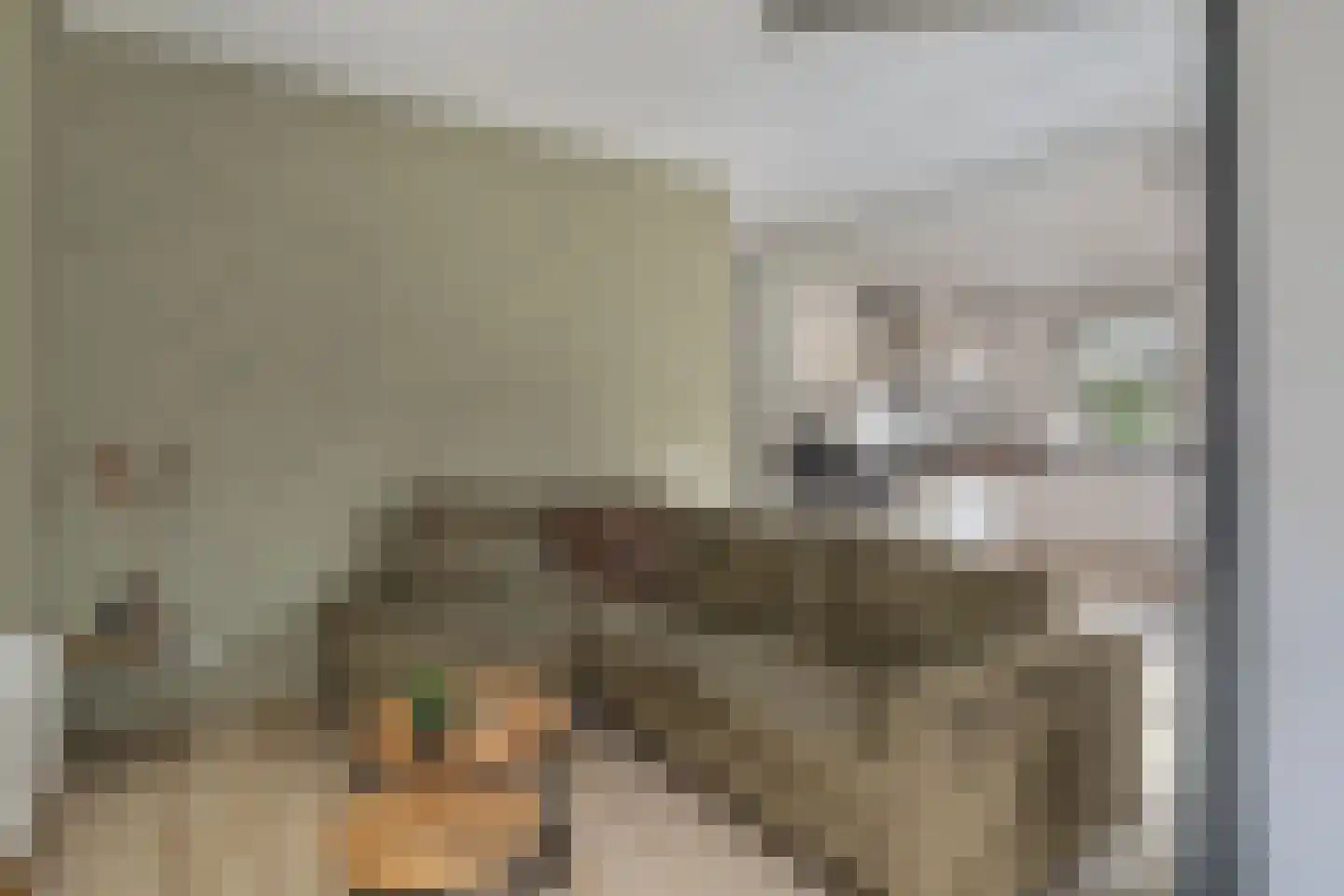 Hezelaar 4 Sint-Michielsgestel thumbnail 24
