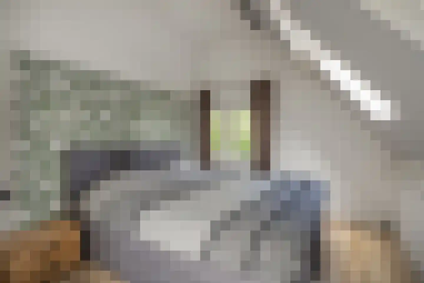Hezelaar 4 Sint-Michielsgestel thumbnail 25