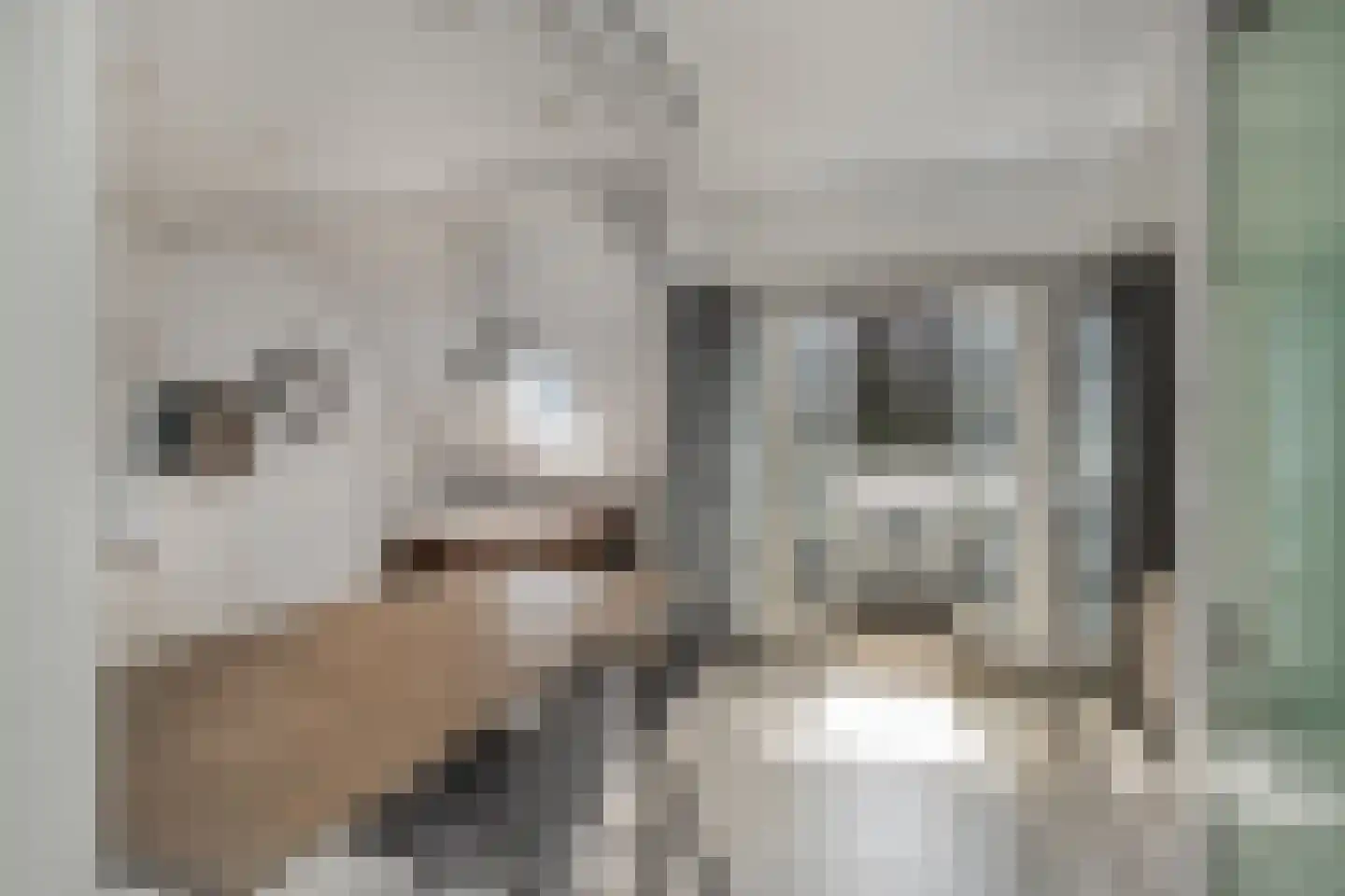 Hezelaar 4 Sint-Michielsgestel thumbnail 26