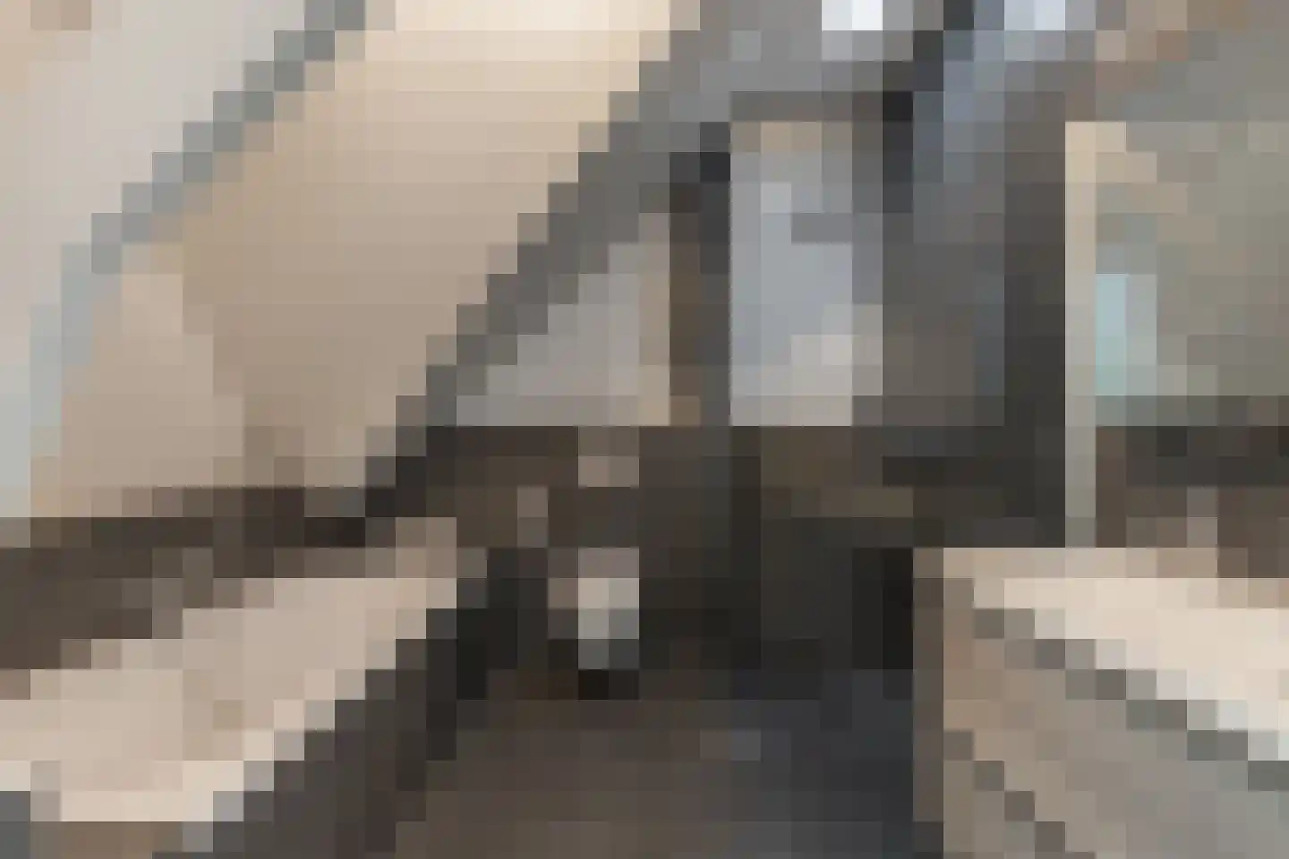 Hezelaar 4 Sint-Michielsgestel thumbnail 27