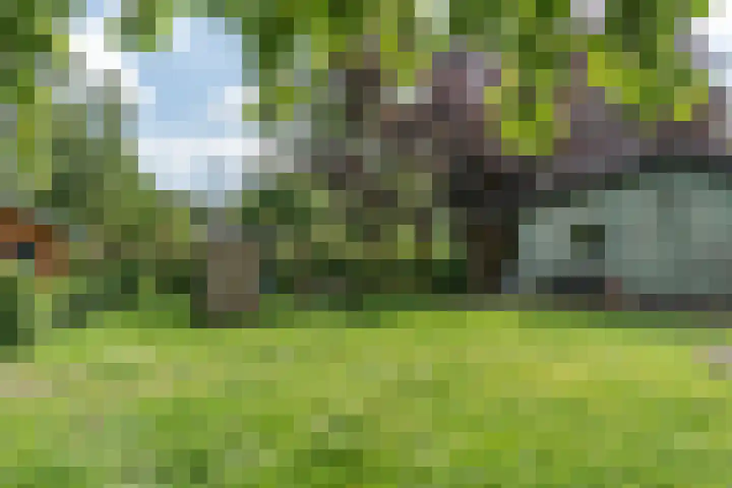 Hezelaar 4 Sint-Michielsgestel thumbnail 32
