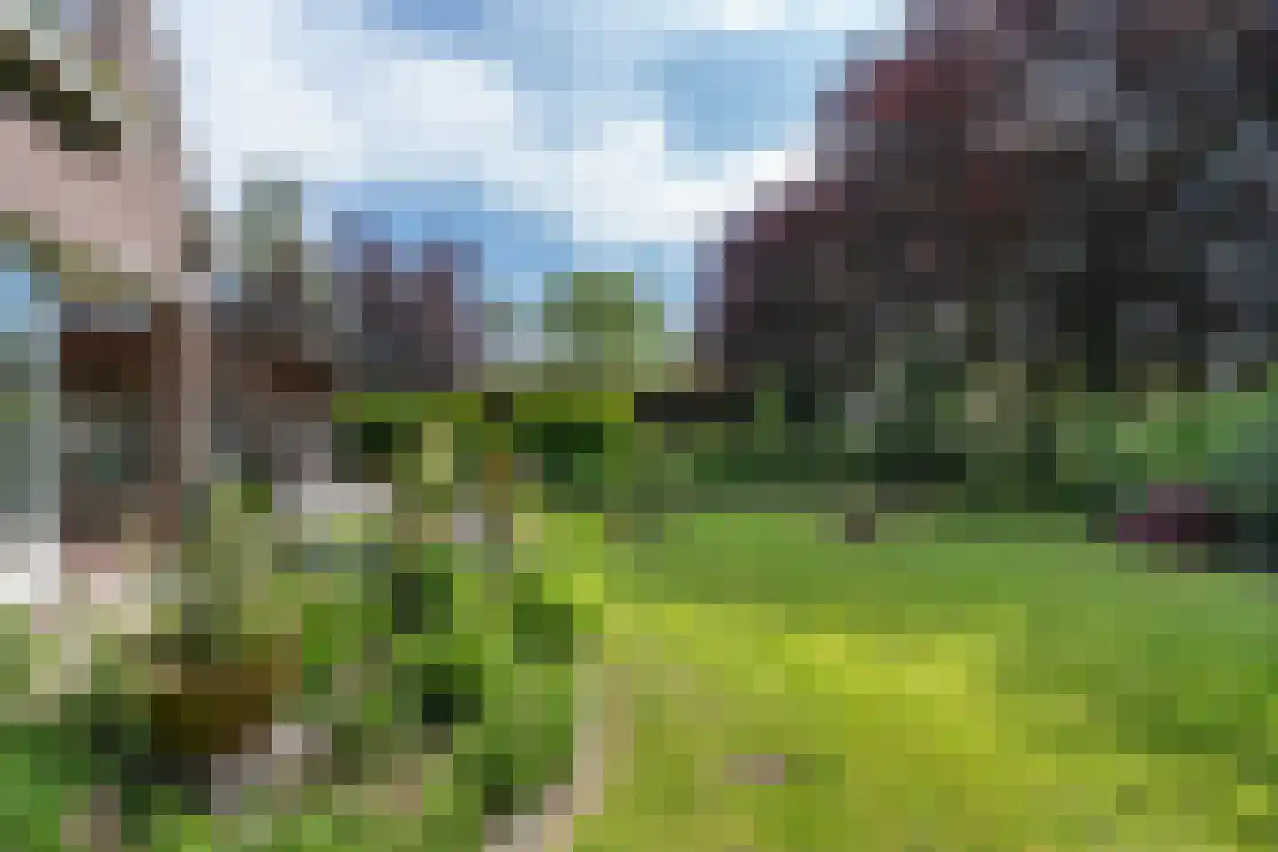 Hezelaar 4 Sint-Michielsgestel thumbnail 34