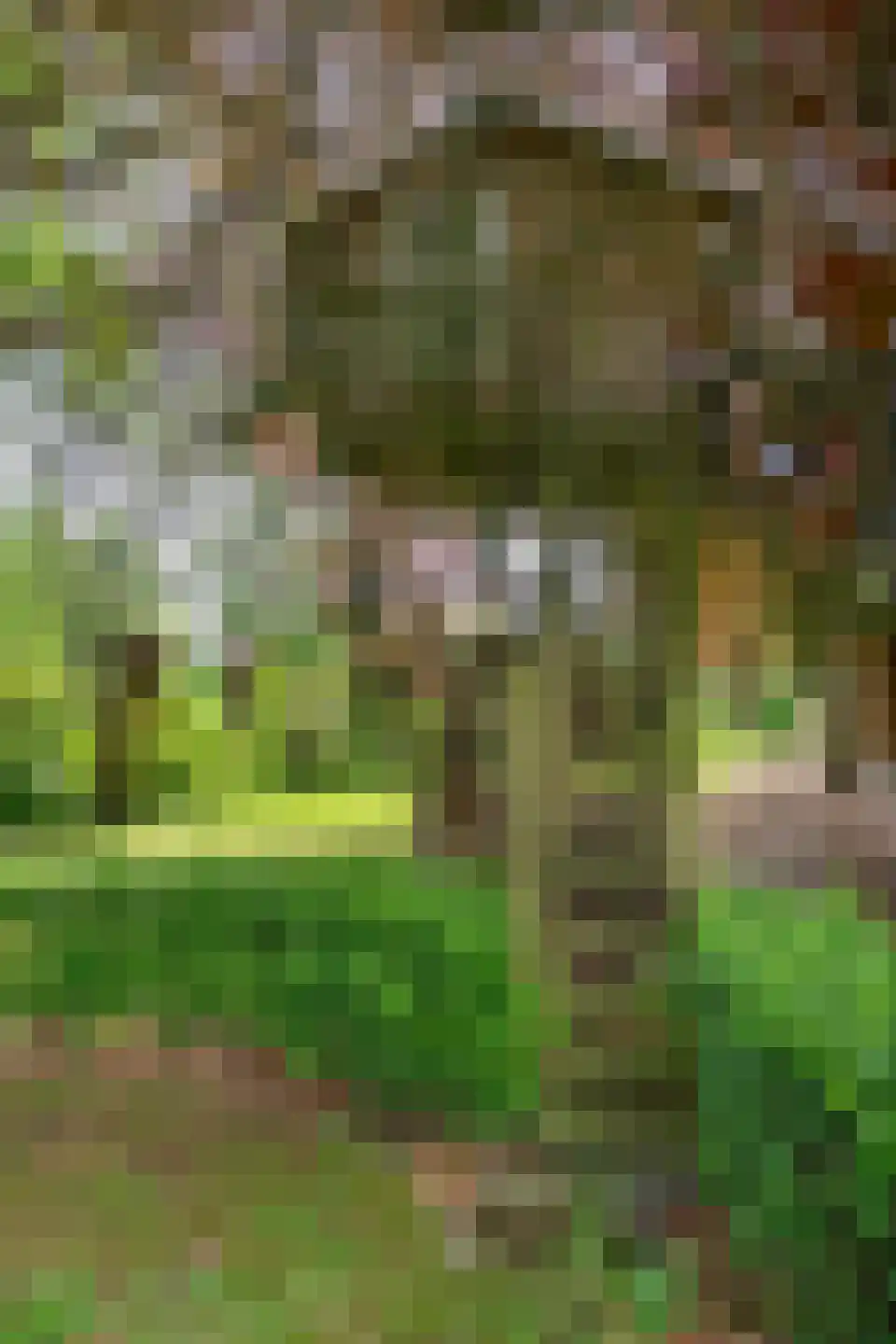 Hezelaar 4 Sint-Michielsgestel thumbnail 36