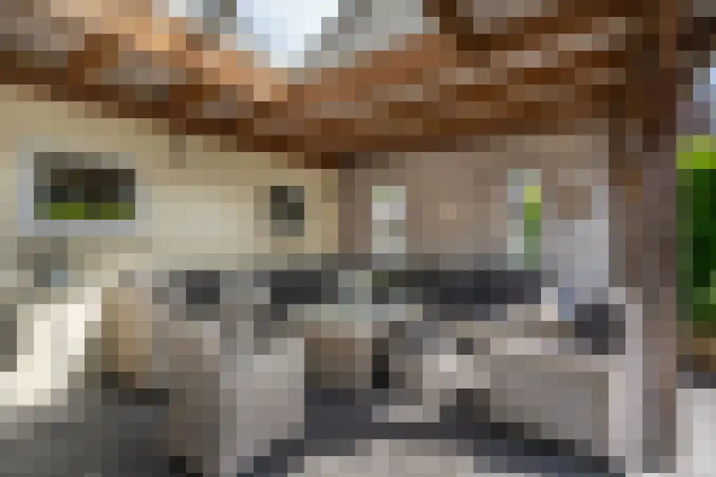 Hezelaar 4 Sint-Michielsgestel thumbnail 44