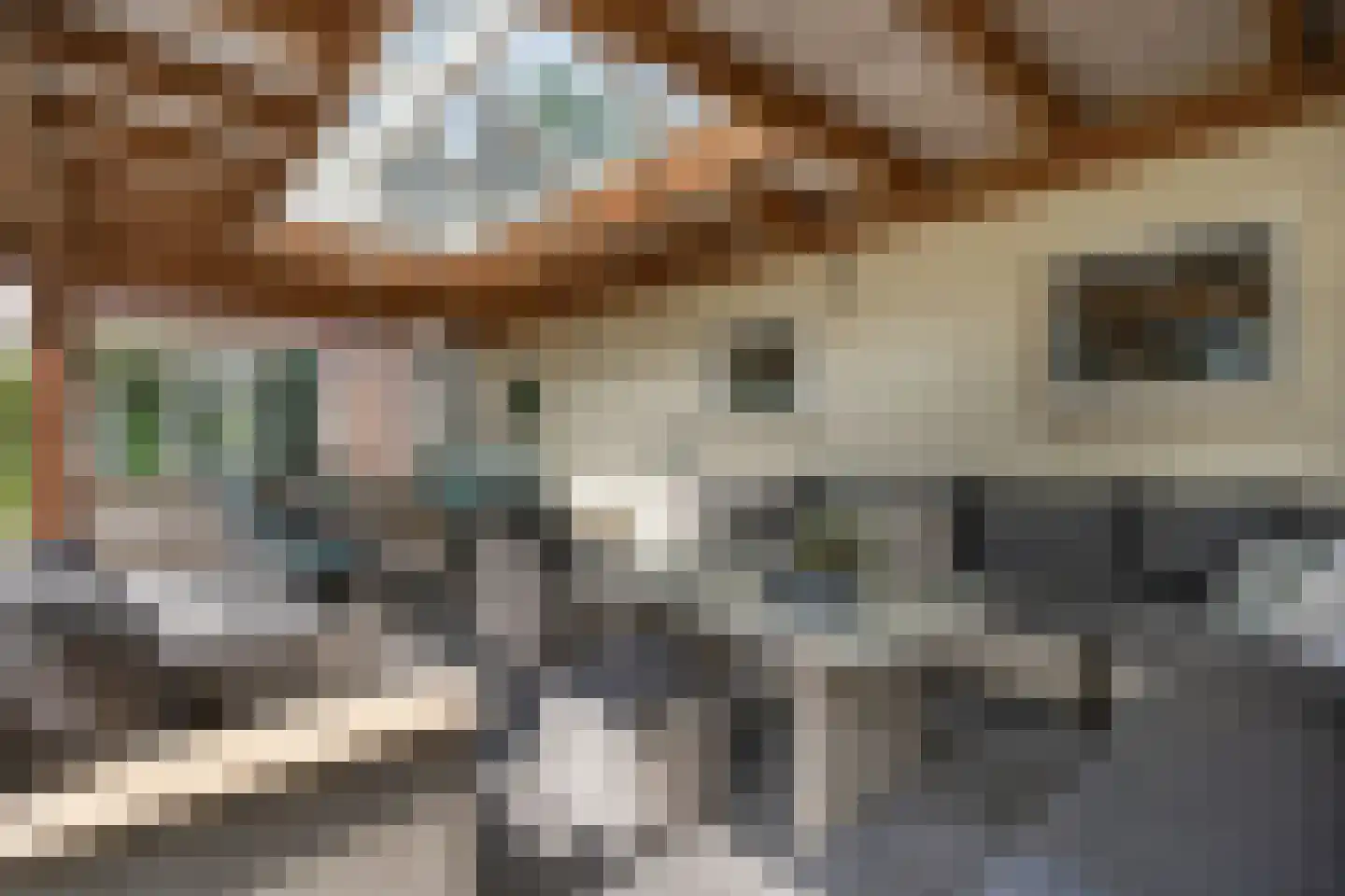 Hezelaar 4 Sint-Michielsgestel thumbnail 45