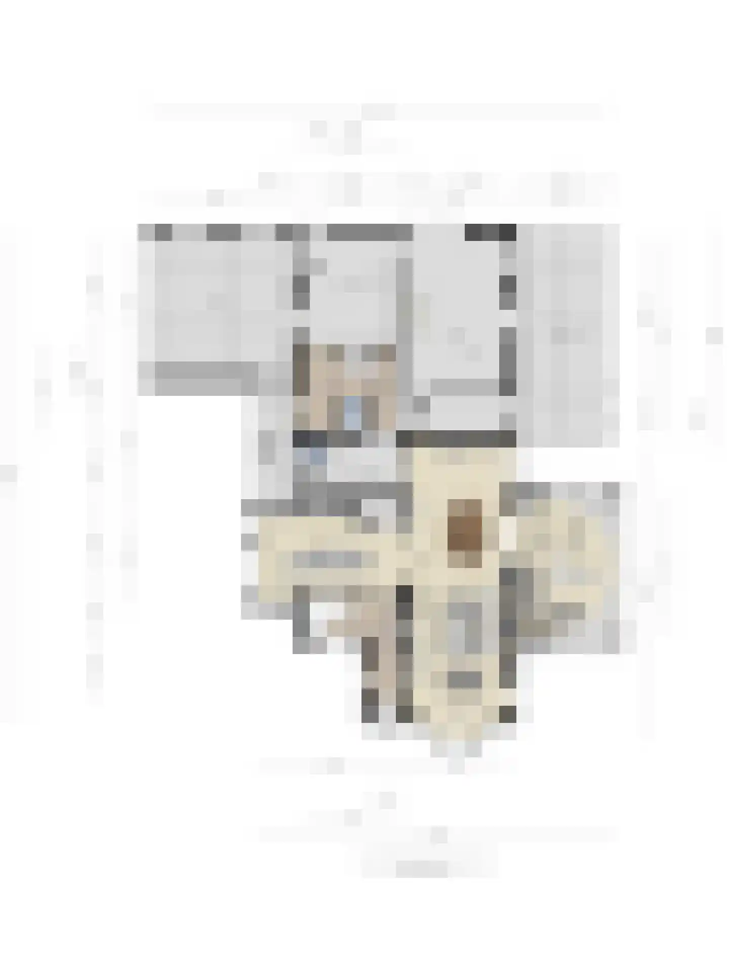 Hezelaar 4 Sint-Michielsgestel thumbnail 52