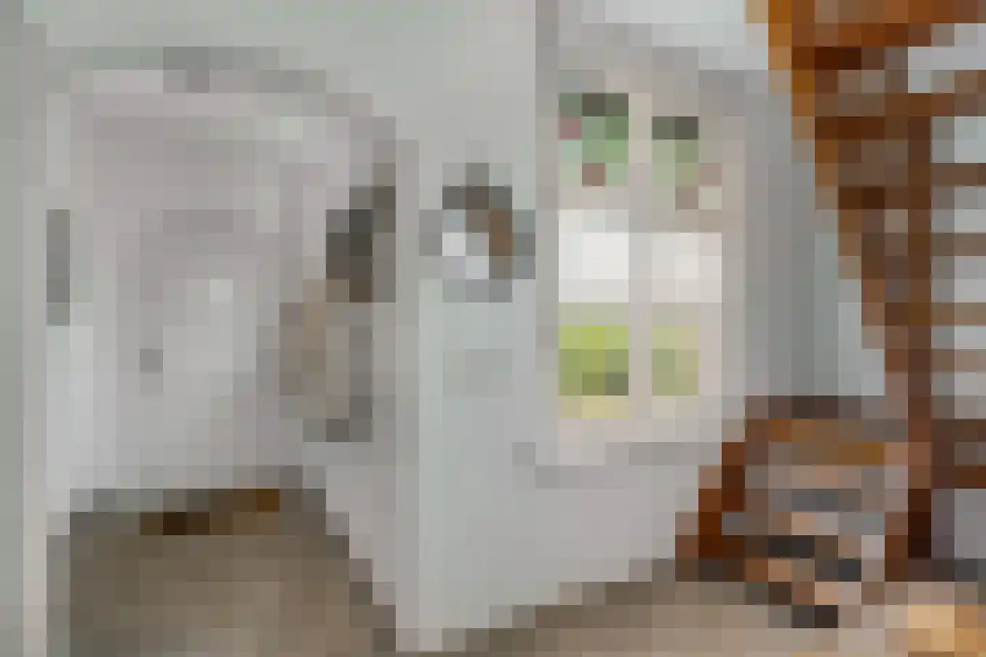 Hezelaar 4 Sint-Michielsgestel thumbnail 8